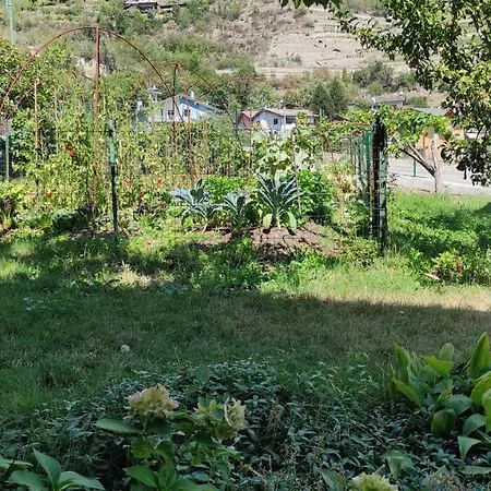 בית הארחה Casabella Silvana Sarre